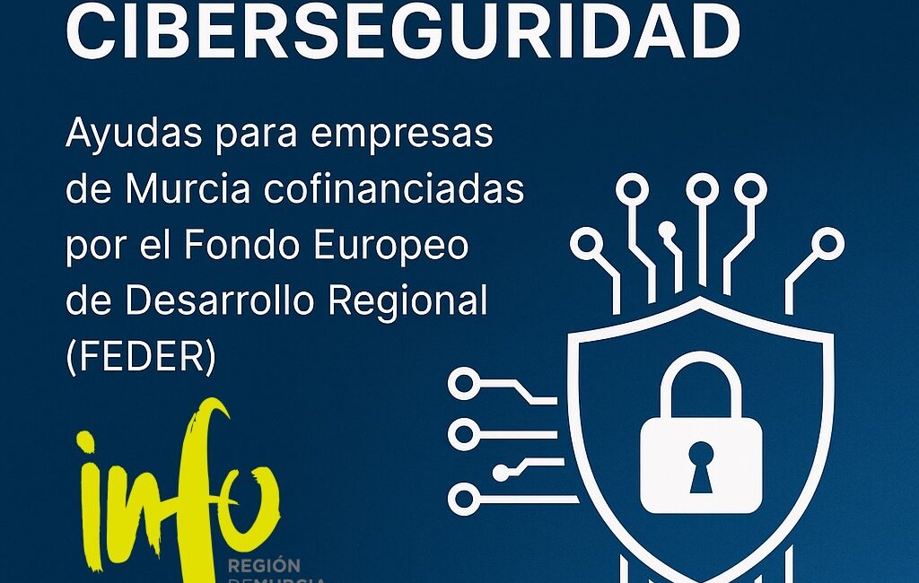 Cheque TIC 2025 Ciberseguridad Murcia