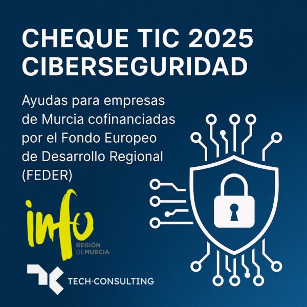 Cheque TIC 2025 Ciberseguridad Murcia
